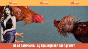 Đá gà Campuchia
