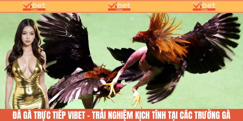 đá gà trực tiếp