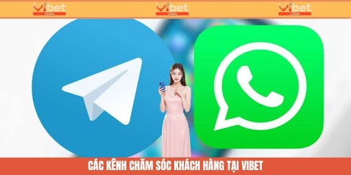 Chăm Sóc Khách Hàng - Tiếp Cận Hội Viên Hiệu Quả Cùng Vibet 1 Các kênh chăm sóc khách hàng hiện có tại Vibet