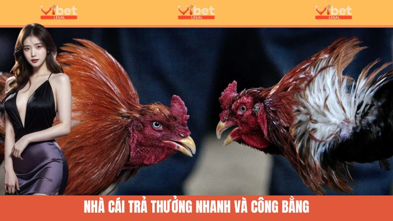 Cơ chế trả thưởng nhanh chóng