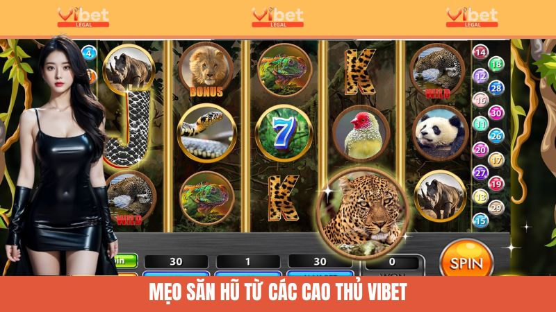Nổ Hũ Rừng Rậm Vibet - Cuộc Phiêu Lưu Hấp Dẫn Nhất 2025 4 Mẹo săn hũ từ các chuyên gia uy tín
