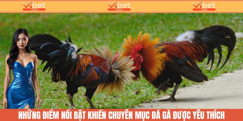 Những điểm nổi bật khiến chuyên mục được yêu thích