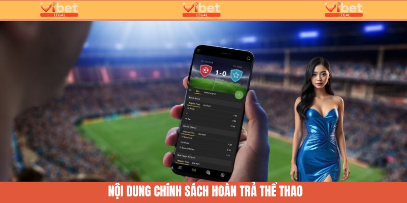 Hoàn Trả Thể Thao Hấp Dẫn - Đặt Cược An Toàn Cùng Vibet 2 Nội dung chính sách hoàn trả thể thao
