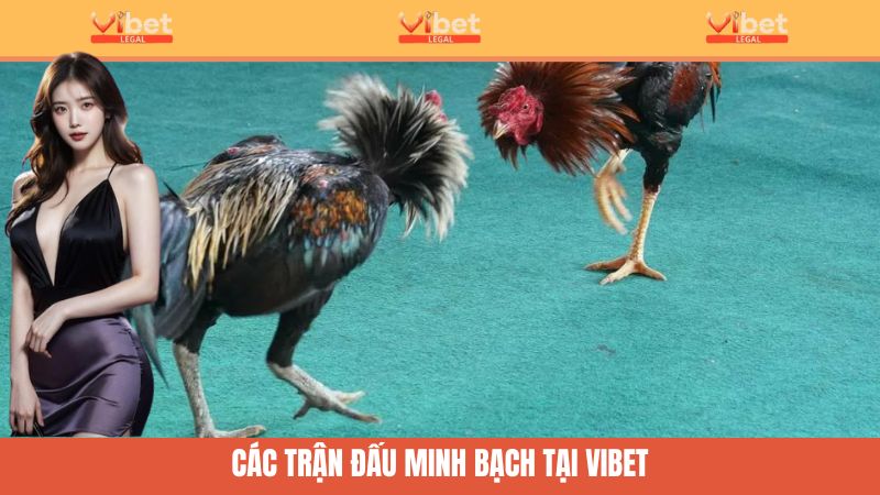 Sân chơi mang đến những trận đấu minh bạch, công bằng