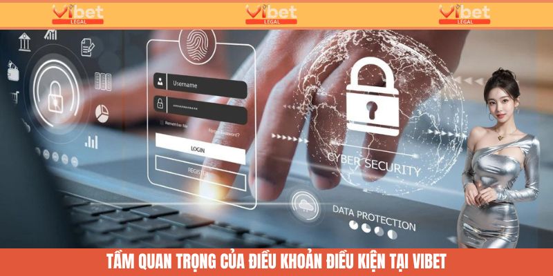 Điều Khoản Điều Kiện - Cán Cân Pháp Lý An Toàn Tại Vibet 1 Tầm quan trọng của điều khoản điều kiện tại Vibet