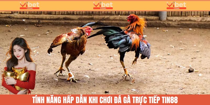 Đá Gà Trực Tiếp Hôm Nay: Cập Nhật 24/24 Tại Nhà Cái Vibet 2 Theo dõi các trận đấu đá gà trực tiếp hôm nay tại Vibet với những tính năng hấp dẫn
