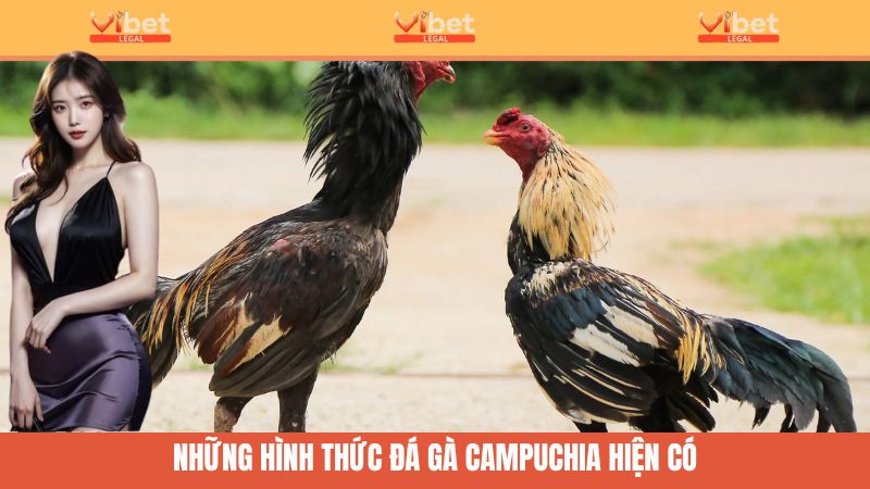 Tóm tắt các hình thức đá gà Campuchia hiện có tại Vibet